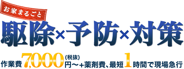 お家まるごと駆除・予防・対策をします！